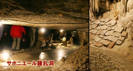 サヴォニエール鍾乳洞 Les Grottes Pétrifiantes de Savonnières