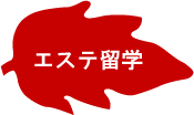 エステ留学
